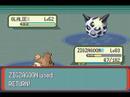 Zigzagoon Only Run: Elite Four Glacia