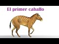 Eohippus - El primer caballo de la historia