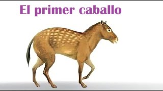 Eohippus - El primer caballo de la historia