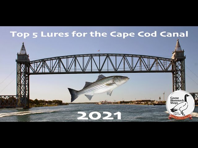 TOP 5 Lures for the Cape Cod Canal 2021 