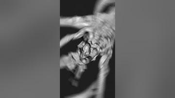 3D Modeling | com4_0147 |  Zbrush Timelapse | #zbrush  #3dmodeling #3d #character  #creature #shorts