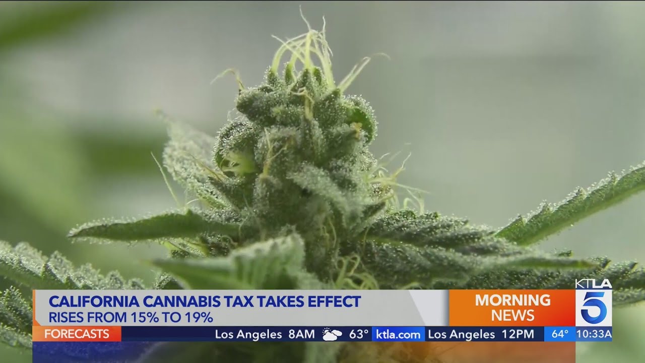 KTLA TV: New cannabis tax increase is a high concern for California dispensaries