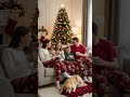 The Cutest Christmas Pajamas Every Pet Lover Needs