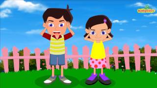 Head Shoulders Knees And Toes - Popular Collection I Children Songs