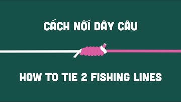 Cách Nối Dây Câu | How To Tie Two Fishing Lines - Fishing Tips And Tricks - Homemade Products