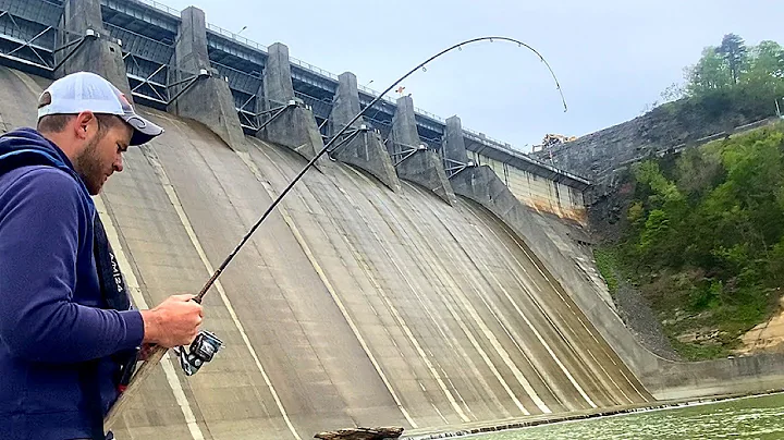 Fishing Below a Massive Dam For Anything That Will...