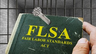 3 Life-Changing HR Tools to Nail FLSA Compliance