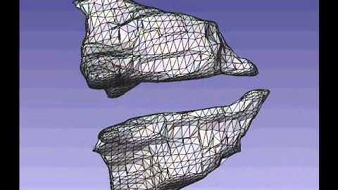 Arytenoid Cartilages: Solid CAD models of Human Laryngeal Cartilage: created from Selbie et al.