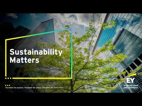 What business leaders can learn from global climate weeks