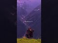 Ke Ho Na Jaaye Pyaar Tumse Mujhe🥺❣️l Barbaad Song "shiyaara"movie l #tranding #viral #video #song