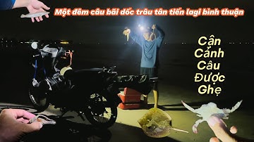 Câu đêm bãi dốc trâu tân tiến lagi bình thuận!@Longvlog86