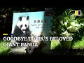 An An, world’s oldest male giant panda dies in Hong Kong