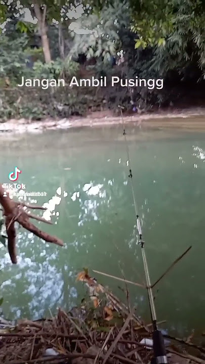 @storymancing.kata kata mancing