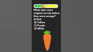 How smart are you?#quizgame #quiz #riddles #mindbendingquiz #english #vocabulary#riddleswithanswers