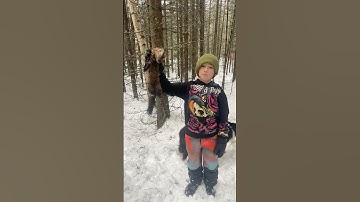 Marten Trapping With Kids #trapping #wildlife #marten