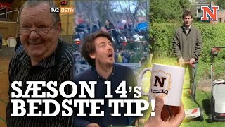 Natholdet sæson 14's bedste tip