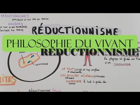 Vidéo — Réductionnisme