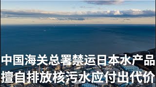 野猫论政 940：中国海关总署禁运日本海产，擅自排放核污水必然付出代价