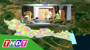 Đồng Tháp: Động lực phát triển từ liên kết vùng | THDT