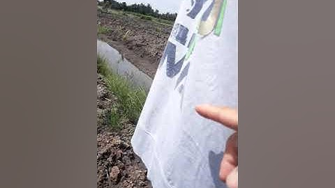 Bán Vườn cây ăn trái Bình Đức Bến Lức Long An