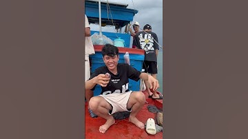 Trải nghiệm đi câu mực ăn tại chỗ #nguyennhutlinh #food #shorts #windnet