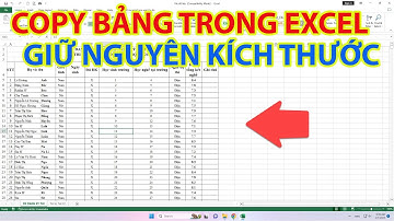 Mẹo Copy Bảng Trong Excel Giữ Nguyên Kích Thước