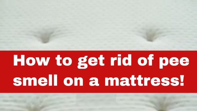 How to Get Cat Urine Out of a Mattress (with Pictures) - wikiHow