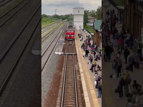 Ласточка Иваново-Москва. Станция Шуя. Lastochka Ivanovo - Moscow. Station Shuya.