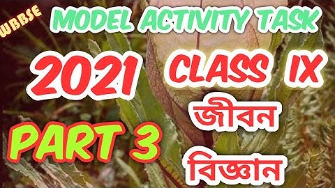 Model Activity Task Life Science part 3 class 9।।wbbse life science task part 3 ।। Class 9।।