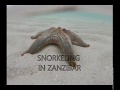 Snorkeling in Zanzibar