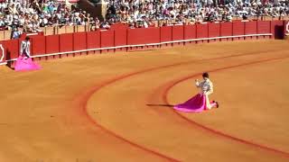 This is to receive the bull "portagayola" and the rest, they are stories screenshot 4