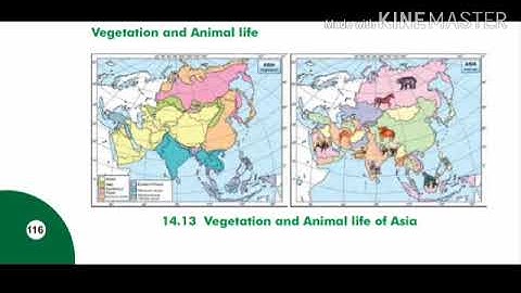 Std 8 S.S.  ch 14 Introduction of the Continents Asia & Africa part 2