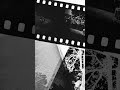 Ep 17 " O detalhe que entregou tudo" #investigacaocriminal #horrorstories #terrorymisterio