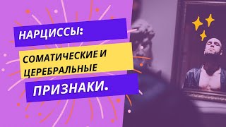 Соматические и церебральные нарциссы