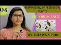 INFLORESCENCE||MORPHOLOGY OF FLOWERING PLANTS||CH-5||CLASS-11TH||BIOLOGY