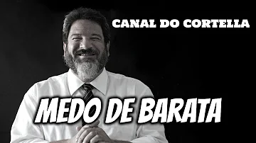 É normal ter medo de barata?
