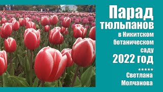 Парад тюльпанов-2022 в Никитском ботаническом саду | Интересные места