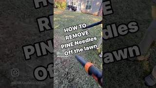 Pine Needle May change lawns PH ( More Weeds )