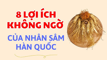 8 Lợi Ích Không Ngờ Của Nhân Sâm Hàn Quốc Đối Với Sức Khoẻ - Thi Đặng - ANaNa Nhân Sâm Korea