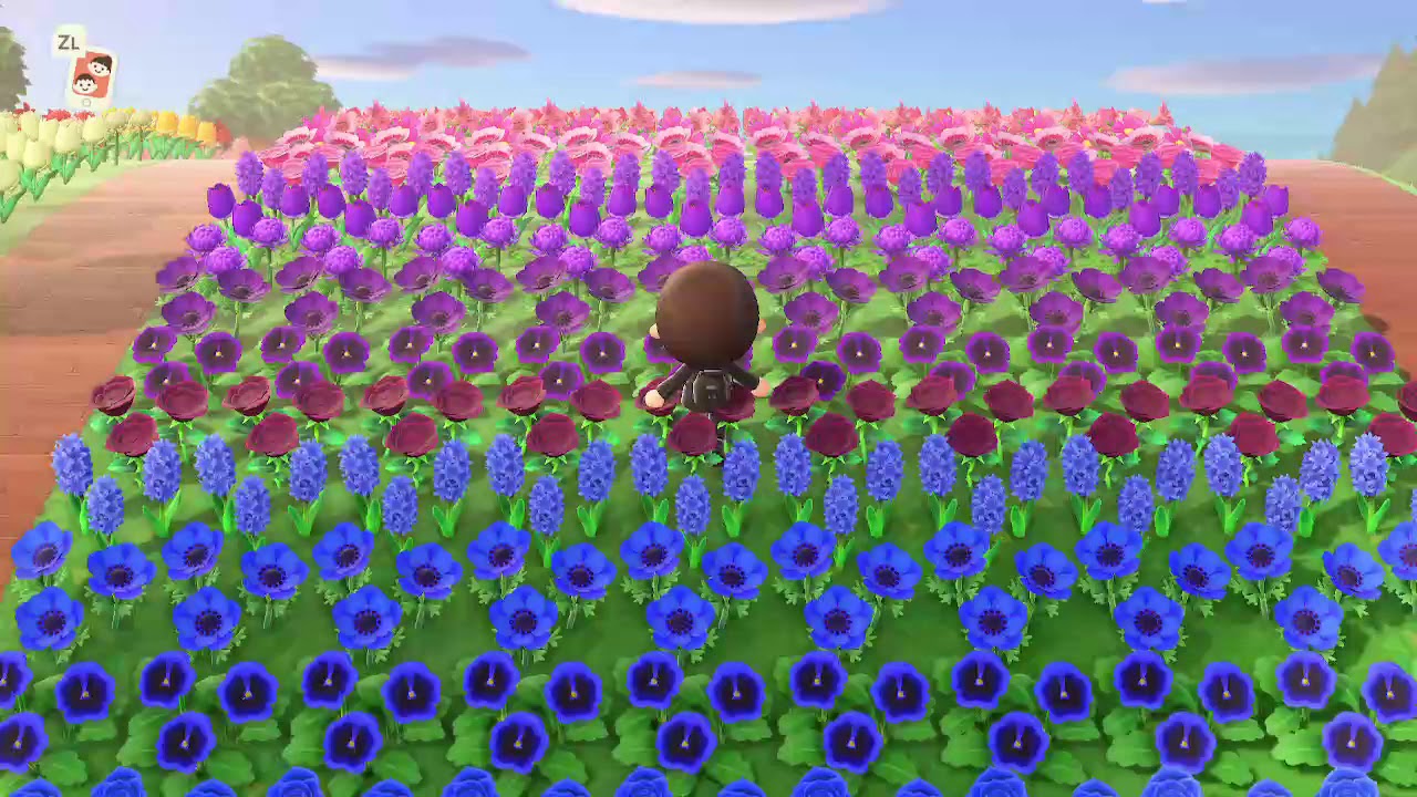 My flowers in New Horizons YouTube