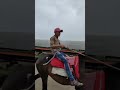 horse lover 🐴