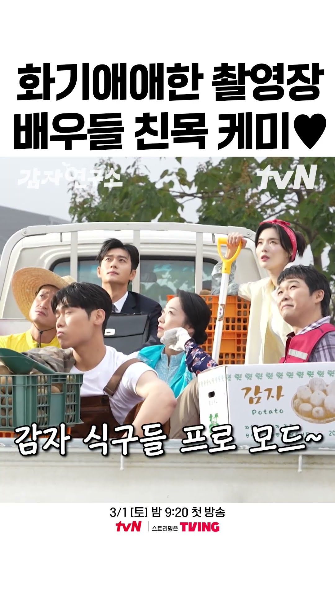 입만 열면 웃음이 나는 감자 식구들? #감자연구소