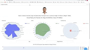 Data Visualization Assignment3 Video