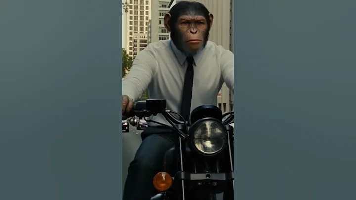 #monkey#bike#office#ai#video