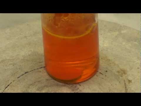Gold Coin Dissolving in Acid (Aqua Regia)
