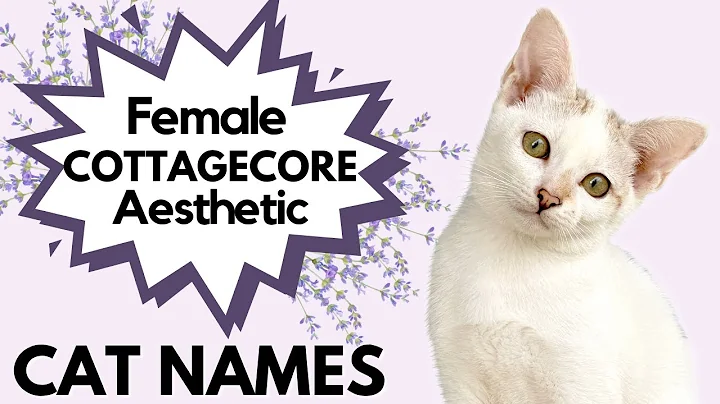 Unique and Charming CAT Names Inspired by Cottagecore Aesthetic
