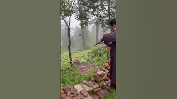 Wild boar hunting | Sufi Hamza #sufihamza #wildboar #hunting