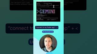 Using the Dart & Flutter MCP Server with Gemini CLI