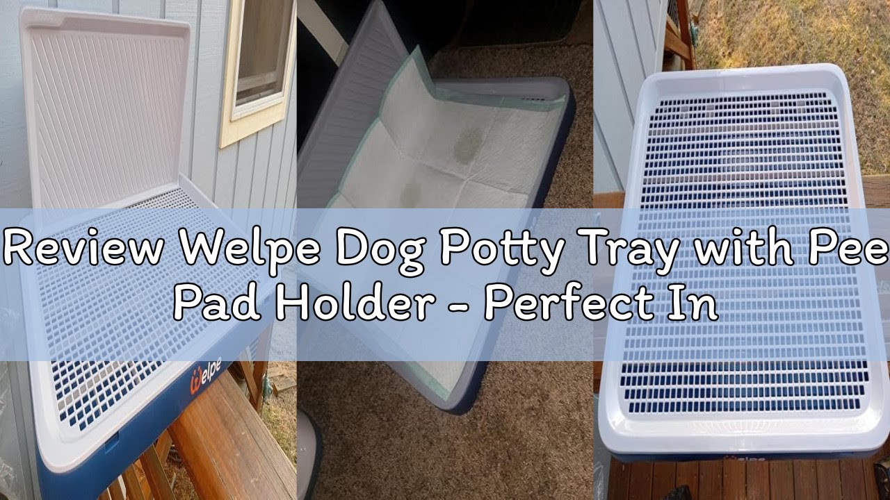 Review Welpe Dog Potty Tray with Pee Pad Holder - Perfect Indoor Potty Training Solution for Small a
