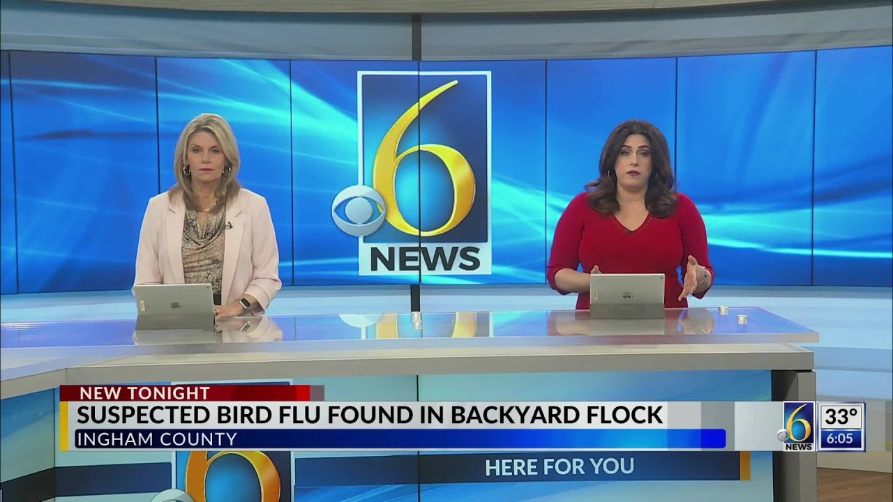 Bird flu in backyard flock - YouTube